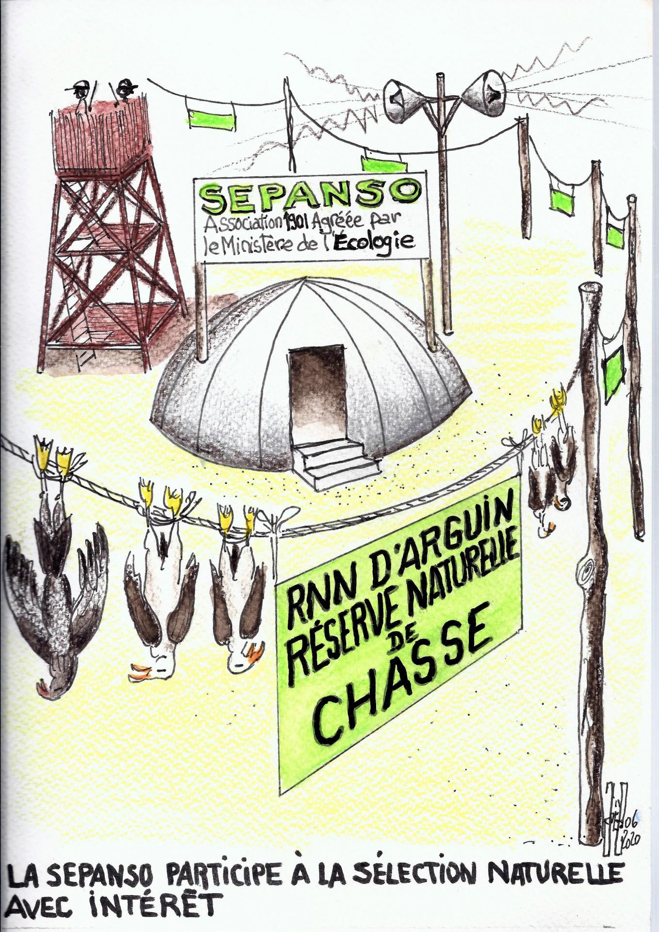 Sepanso re serve de chasse juin 2020